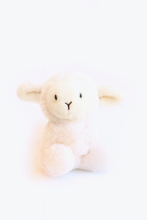 Load image into Gallery viewer, Cashmere Baby Blanket, Booties and Bonnet with Arlo Toy Rattle
