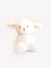 Load image into Gallery viewer, Nehru Cardigan and Arlo Plush Toy Rattle New Baby Gift Set
