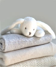 Load image into Gallery viewer, Willow &amp; Cole Premium Newborn Baby Gift Set
